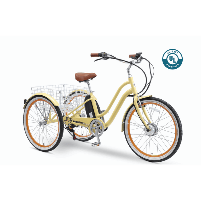 EVRY journey 250W Electric Tricycle