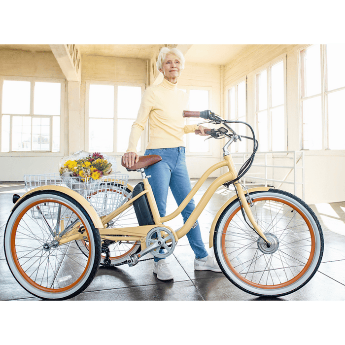 EVRY journey 250W Electric Tricycle