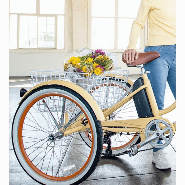 EVRY journey 250W Electric Tricycle