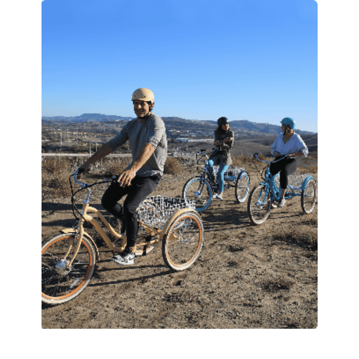 EVRY journey 250W Electric Tricycle