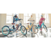 EVRY_journey_250W_Electric_Tricycle_nows