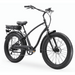 EVRY_journey_FAT_TIRE_500W