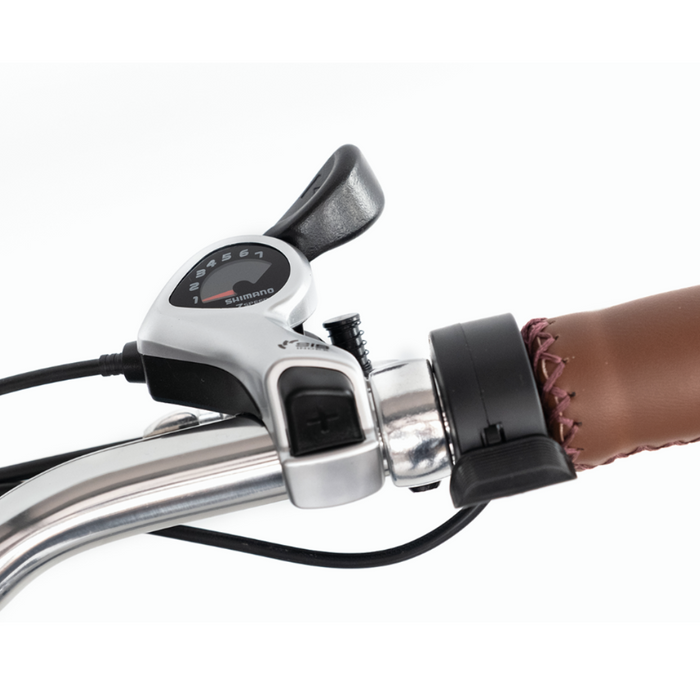 EVRYjourney 750w Electric Tricycle Rickshaw With Passenger Seat
