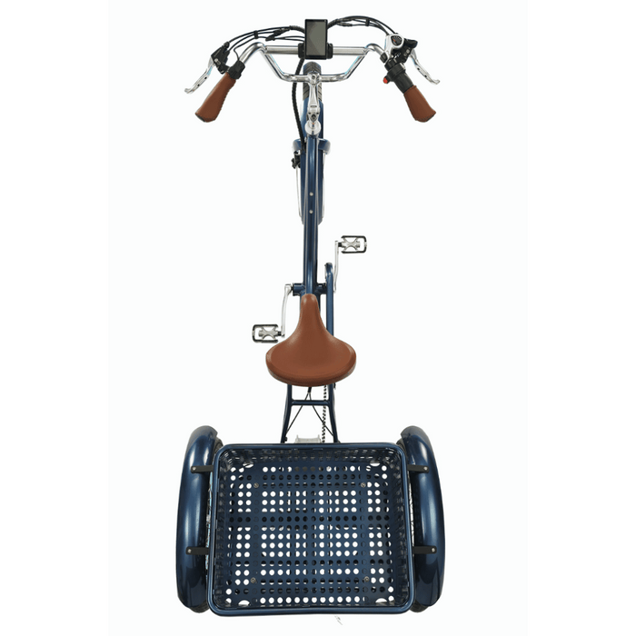 Relaxed_Body_750_watt_Electric_Tricycle_Top_View