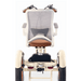 SimpleGlife750WattFatTireElectricTricycleBackView