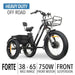 FORTE Electric Tricycle Color Black Heavy Duty Off Road