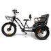 GOBike-FORTE with Rear Seat Electric Tricycle Color Black Left Side View