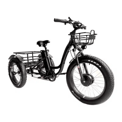 Electric Tricycle With Fat Tires and Rear Storage