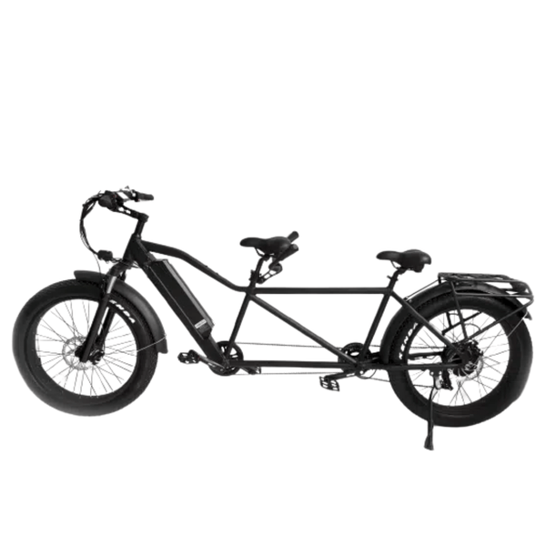 mountainbike tandem e bike EMS TB750 Fat Tire Electric Tandem Bicycle Bike