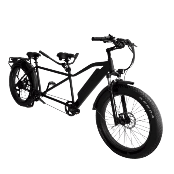 fat tire electric tandem bike bicycle EMS TB750 Fat Tire Electric Tandem Bicycle Bike