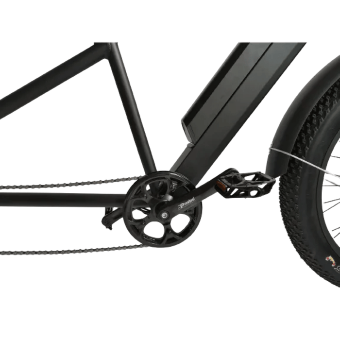 EMS TB750 Fat Tire Electric Tandem Bicycle Bike EMS TB750 Fat Tire Electric Tandem Bicycle Bike