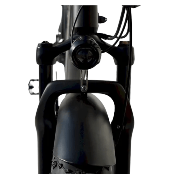 fat tire electric tandem bike bicycle EMS TB750 Fat Tire Electric Tandem Bicycle Bike