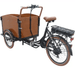 Dutch_Electric_Tricycle_Back_View
