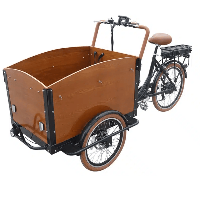 Electric Tricycle With Cargo Dutch Style