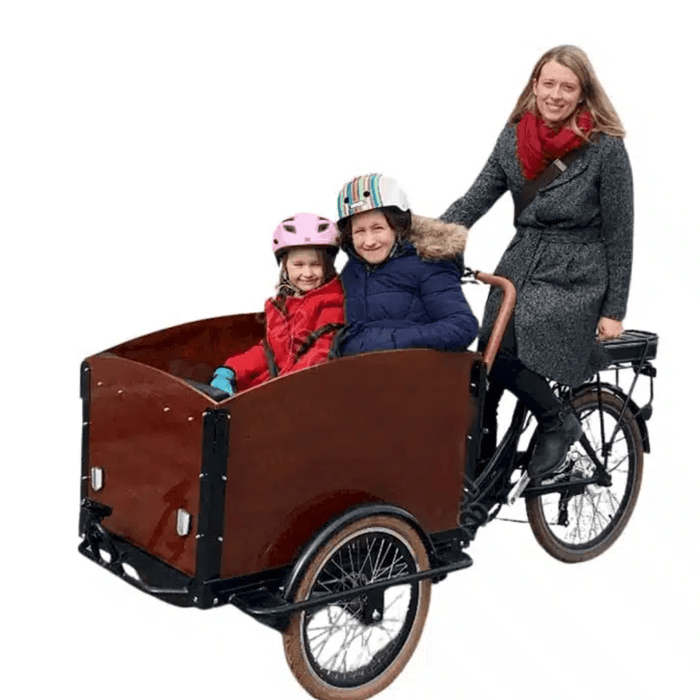 Mobility Star Classic Electric Dutch Cargo Tricycle Bike