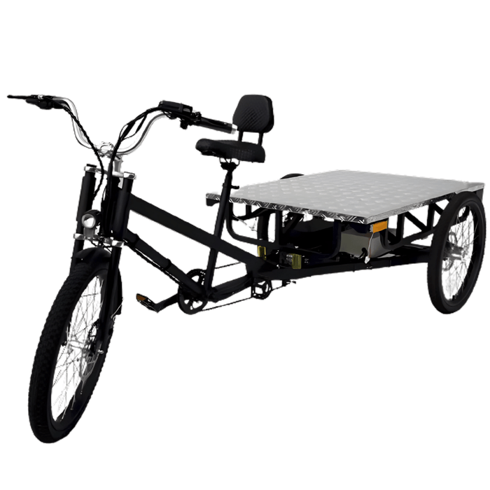 3 wheel pedal bike Mobility Star Electric Flatbed Cargo Tricycle