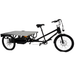 Black Electric Tricycle With Flat bed