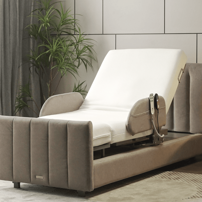 Stand Assist Bed For Elderly