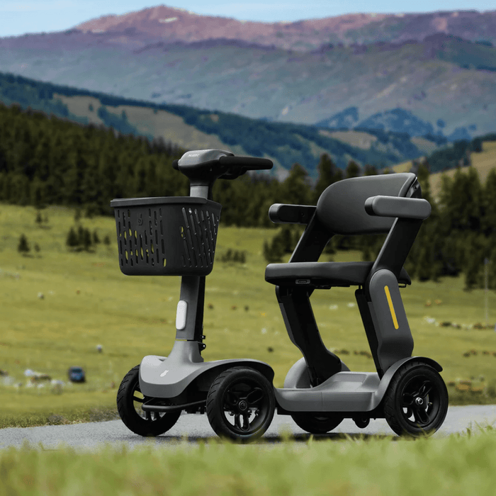 Paiseec S3 Mobility Scooter With Country Landscape Design