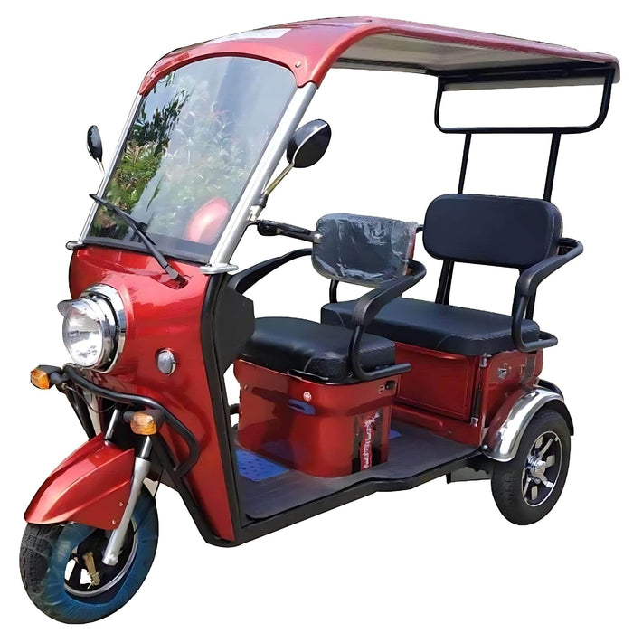 Pushpak 5000 2 Person Electric Trike Recreational Scooter