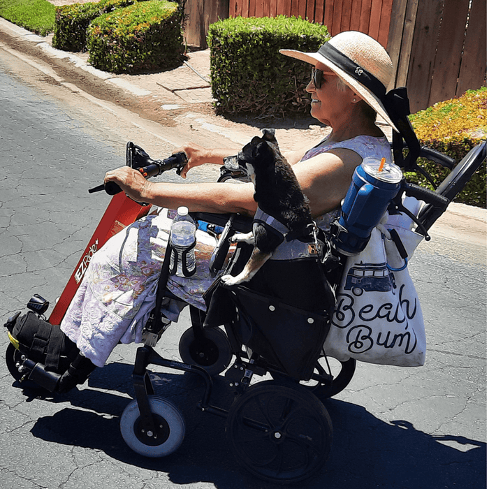 EZ Ride Wheelchair Power Assist Attachment