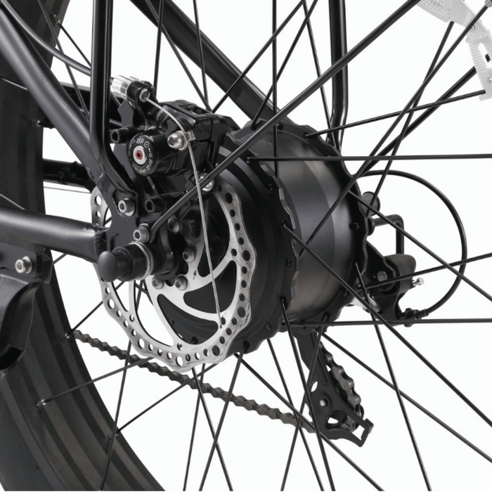 EVRY_journey_FAT_TIRE_500W_Motor