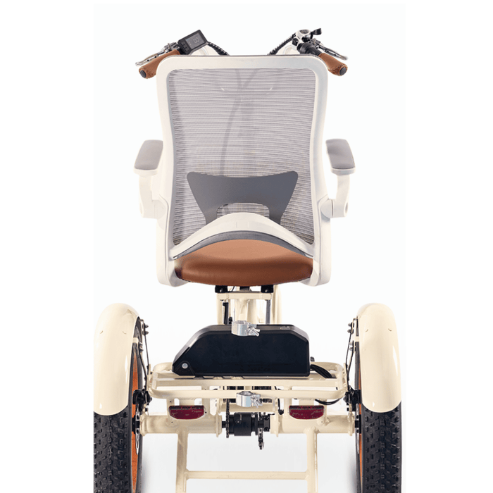 SimpleGlife750WattFatTireElectricTricycleBackView
