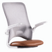 SeatOfSimpleGlideFatTire750WRecumbentETrikew_Footrest