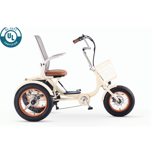 SimpleGlide750WattFatTireElectricTricycleSideView