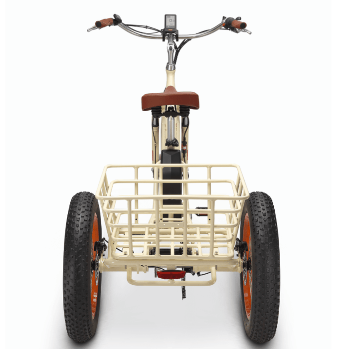 Simple Step Thru FAT Tire