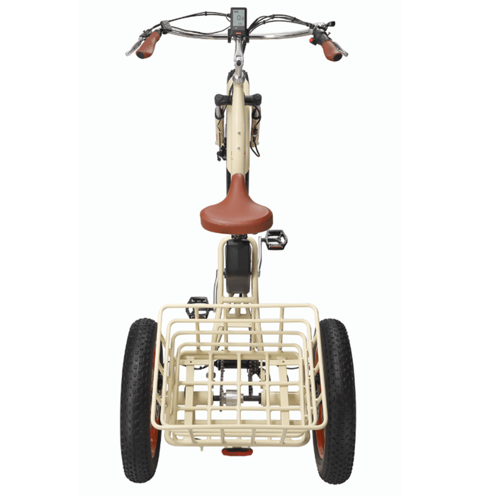 Simple Step Thru FAT Tire