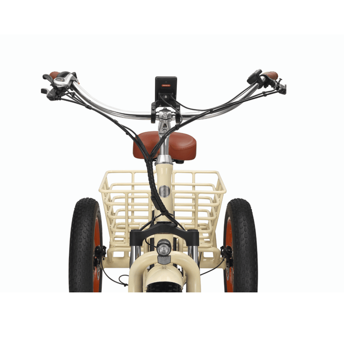 Simple Step Thru FAT Tire