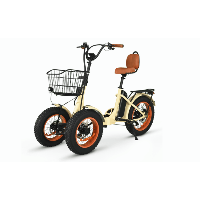 reverse trike electric bicycle Fat Tire 750w Reverse ETrike