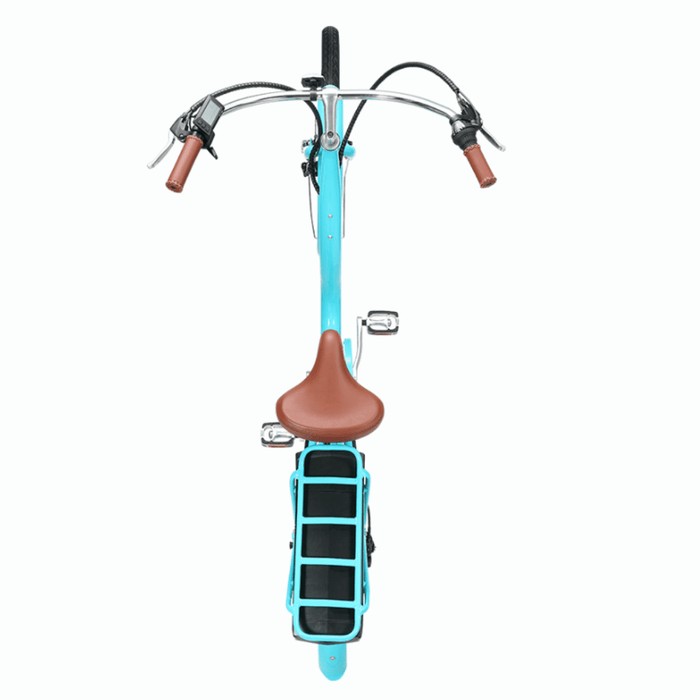 Simple_Step-Thru_500W_Deluxe_2