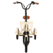 Easy_Transit_750W_Folding_Electric_Trike_Front_View