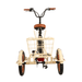 Easy_Transit_750W_Folding_Electric_Trike_Rear_View