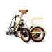 Easy_Transit_750W_Folding_Electric_Trike_Folded_View