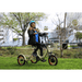 Woman_in_Easy_Transit_750W_Folding_Electric_Trike_at_the_Park