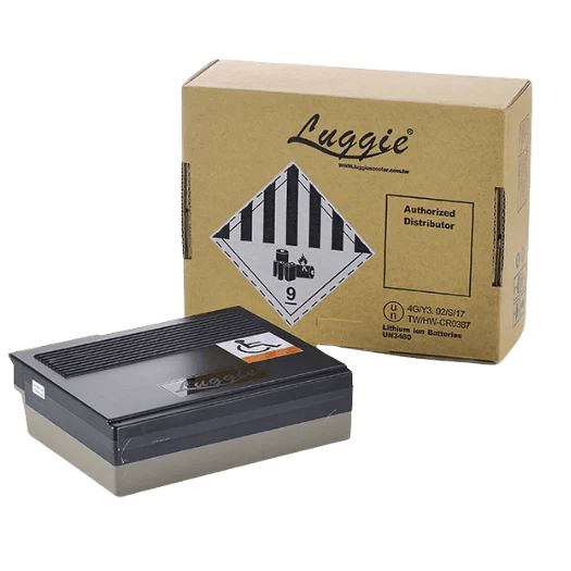 Free Rider 10.5 AH Lithium Battery For Luggie Line