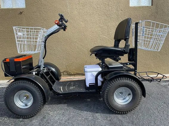 Ninja 4 wheel Mobility golf cart outside