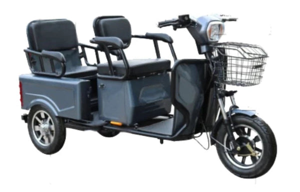 2 seat 3 wheel bicycle Pushpak 3000 2-Person Electric Trike Recreational Scooter