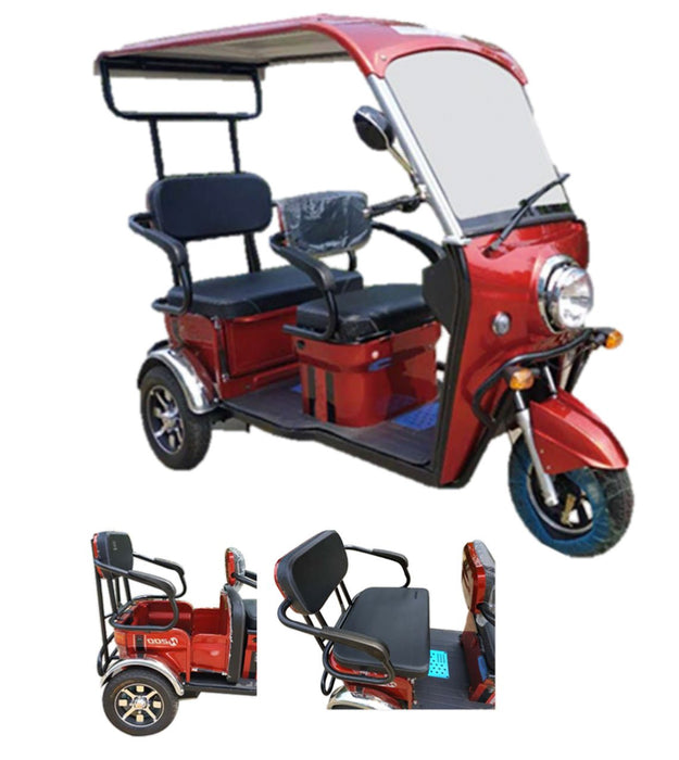 Pushpak 5000 2 Person Electric Trike Recreational Scooter